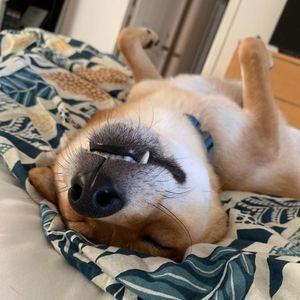 Meet your Posher, Rebecca